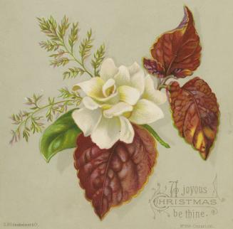 The card pictures a white flower, along with red and green foliage against a beige background.