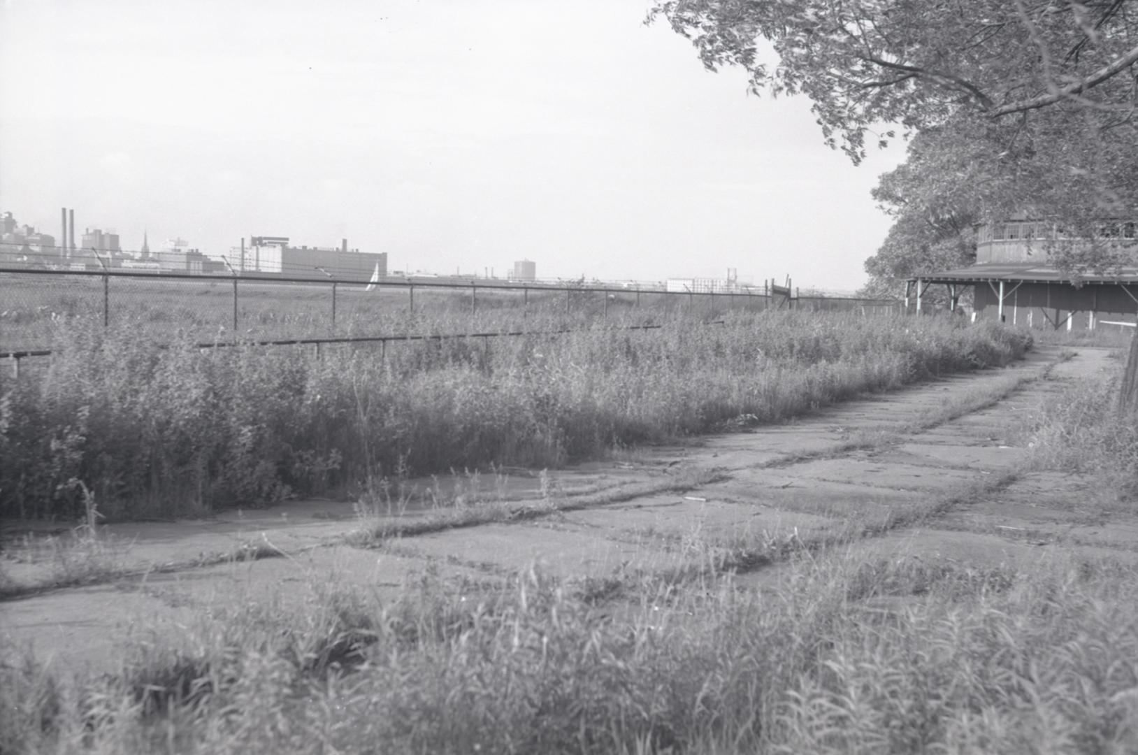 Photograph of an abandoned wooden building housing a merry-go-round on right with overgrown sid…