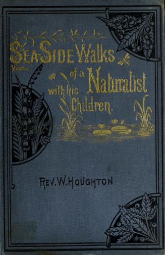 Sea-side walks of a naturalist with his children