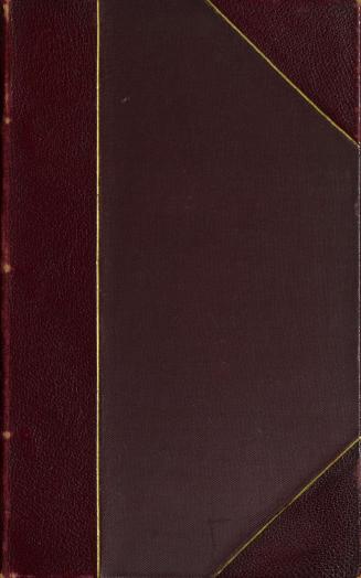 The children in the wood