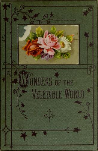 Wonders of the vegetable world