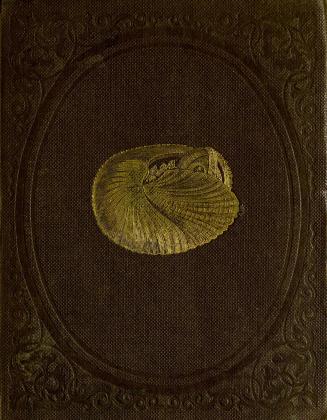 Shells and their inmates
