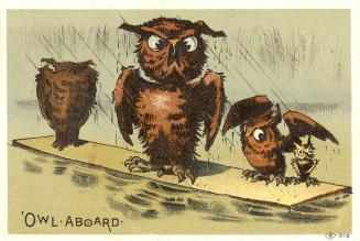 ''Owl Aboard''
