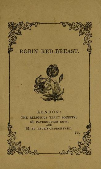 Robin red-breast