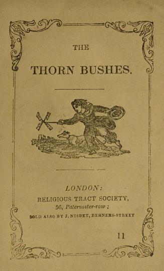 The thorn bushes