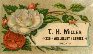 T. H. Miller, 226 Wellesley Street, Toronto. General Grocer and Provision Dealer
