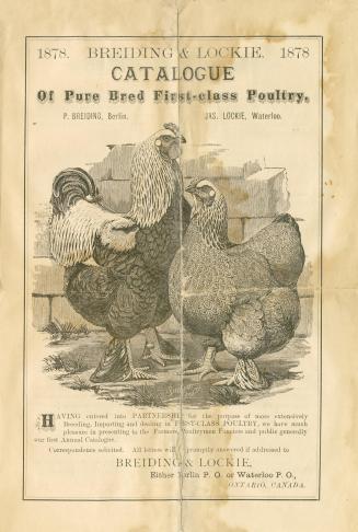 Breiding & Lockie catalogue of pure bred first class poultry