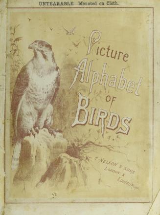 Picture alphabet of birds