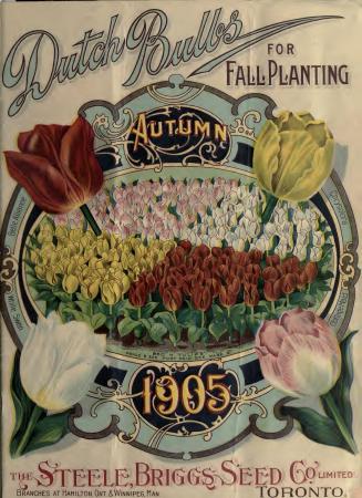 Dutch bulbs for fall planting : autumn 1905