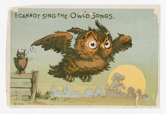 Colour card advertisement. Front of card depicts an illustration of an owl flying away from ano ...