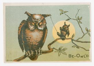 Colour card advertisement. Front of card depicts an illustration of an owl sleeping, while anot ...