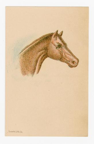 Colour card advertisement. Front of card depicts an illustration of the head of a brown horse f ...