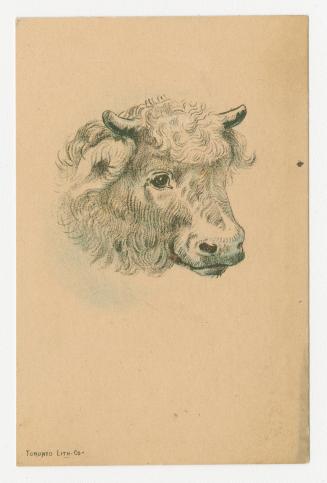 Small Card advertisement. Front of card depicts an illustration of the head of ablack and white ...