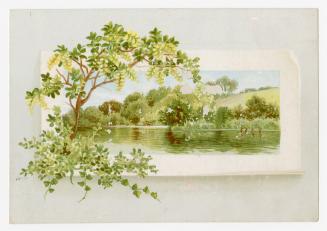 Colour trade card advertisement depicting a a nature scene of trees along a shoreline. There is ...